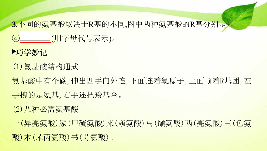 高考生物专题课件3：蛋白质、核酸、糖类和脂质(共72张PPT)