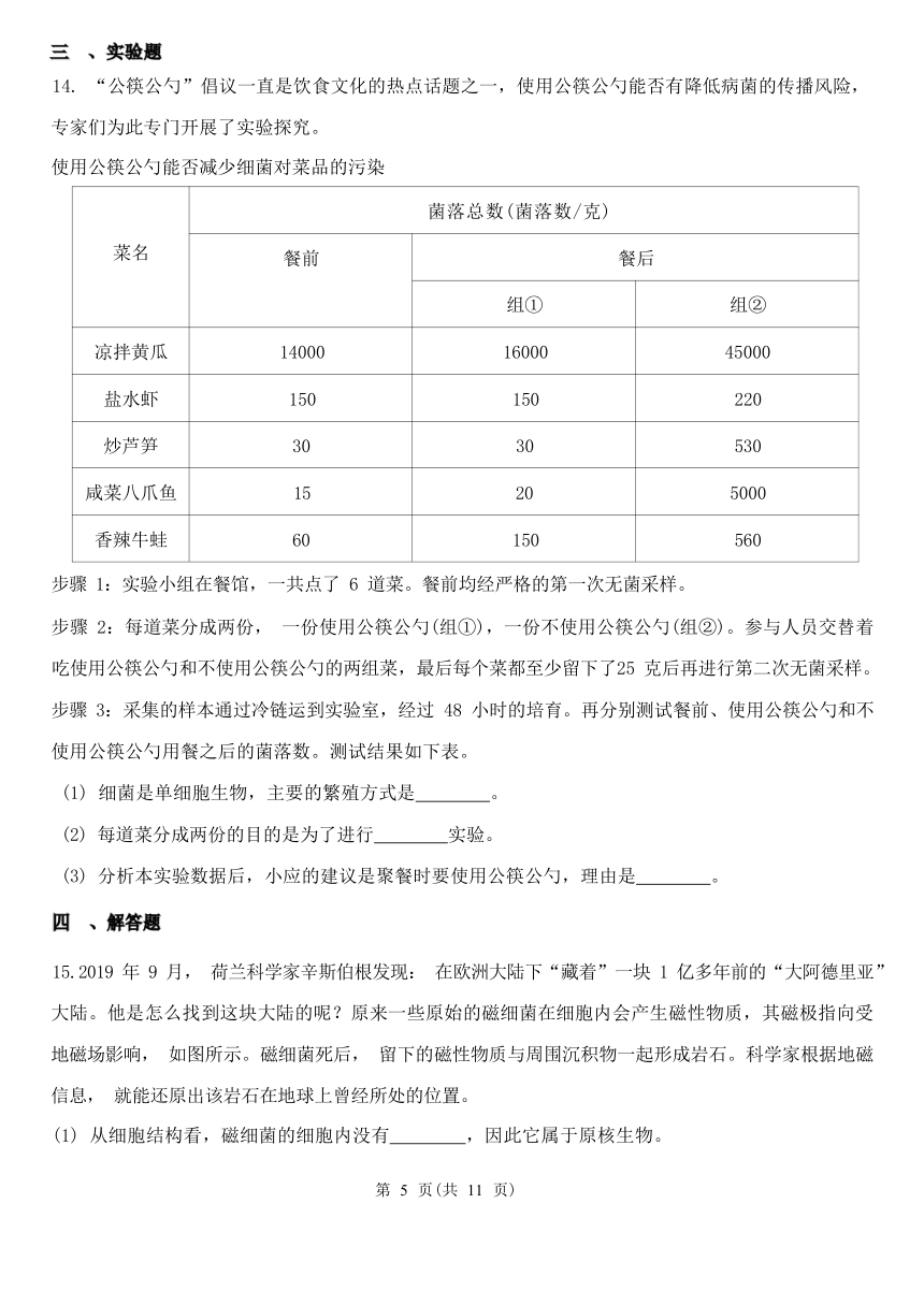 1.6 细菌和真菌的繁殖 同步练习（含答案）