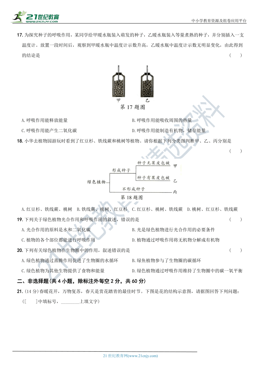 第三单元  生物圈中的绿色植物（检测卷一）—【新课标·新素养】2022—2023学年七年级生物能力提升检测卷