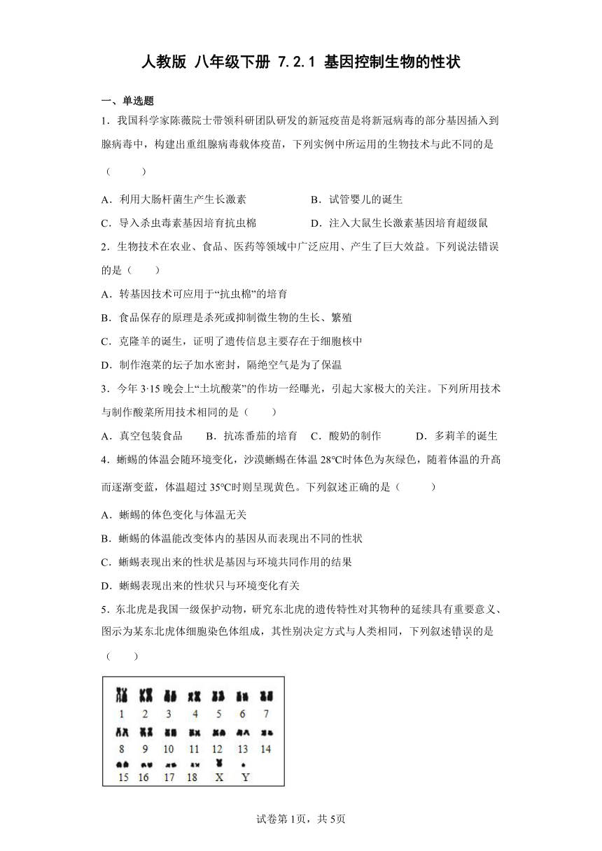 人教版八年级下册7.2.1基因控制生物的性状（word版 含解析）