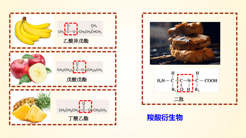 化学人教版（2019）选择性必修3 3.4.2 羧酸衍生物——酯类（共39张ppt）