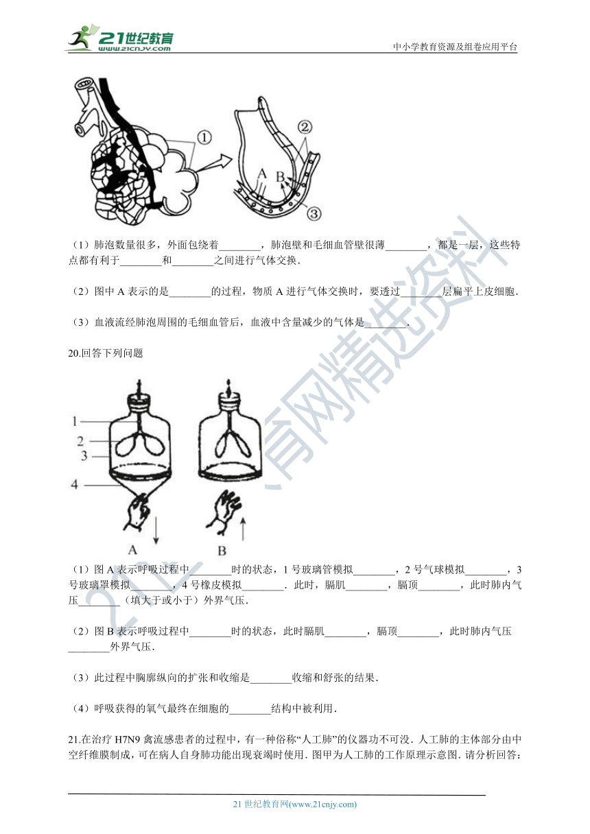 人教版2021初中生物七年级下册4.3人体的呼吸 章末检测（含解析）