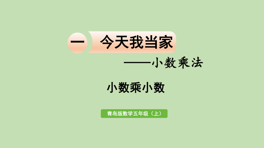 青岛版数学五年级上册 一 今天我当家——小数乘法 信息窗2  小数乘小数 课件（33张ppt）