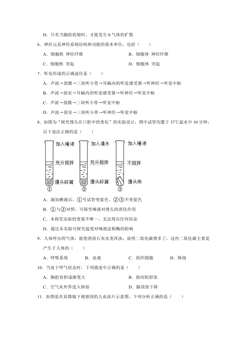 2020-2021学年山东省济宁市泗水县七年级（下）期末生物试卷 (word版含解析）