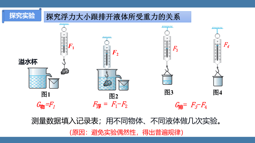 人教版八年级物理下册课件 (共24张PPT) 10.2 阿基米德原理