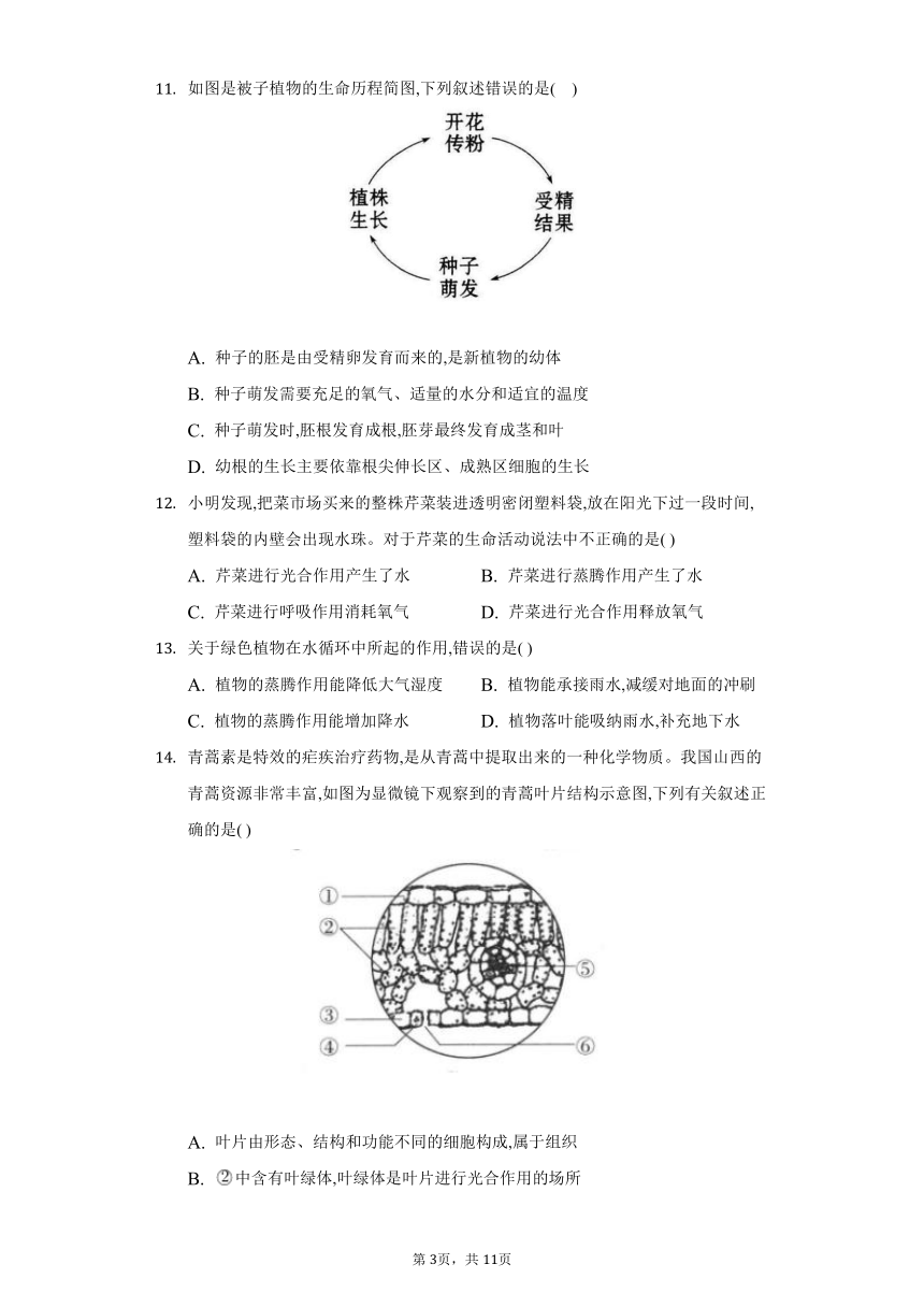 2022-2023学年人教版生物七年级上册单元检测-第三单元　生物圈中的绿色植物(word版含答案）