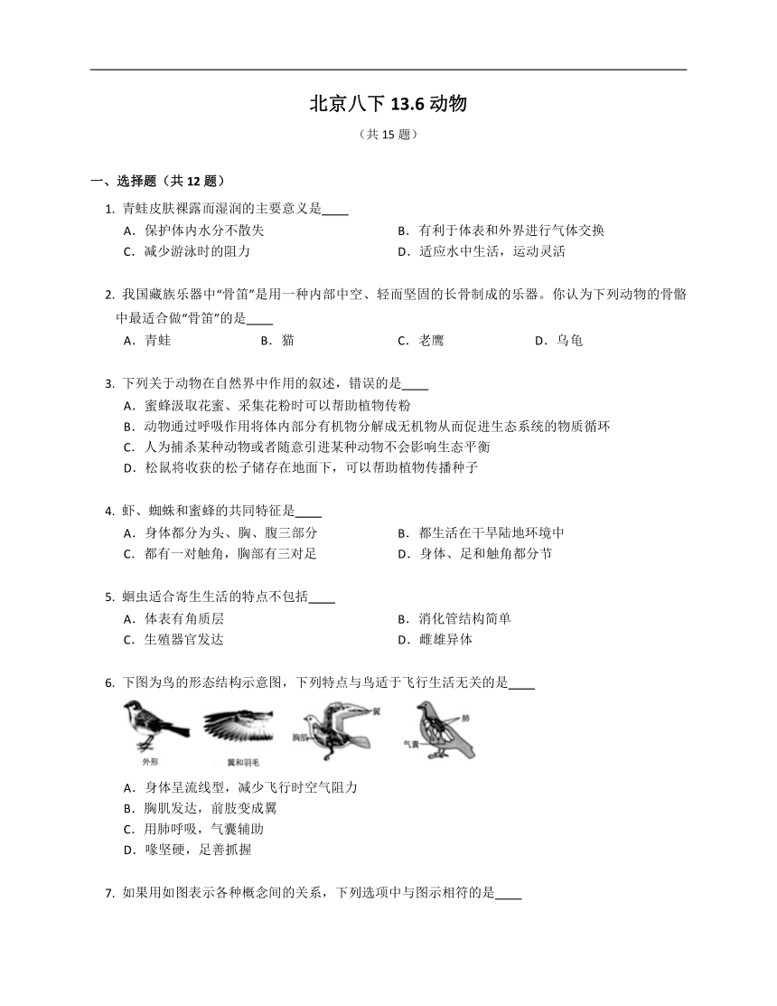 13.6动物同步练习（含答案）北京版八年级下