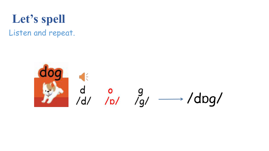 Unit 4 Where is my car Part A  Let’s spell课件（21张PPT)