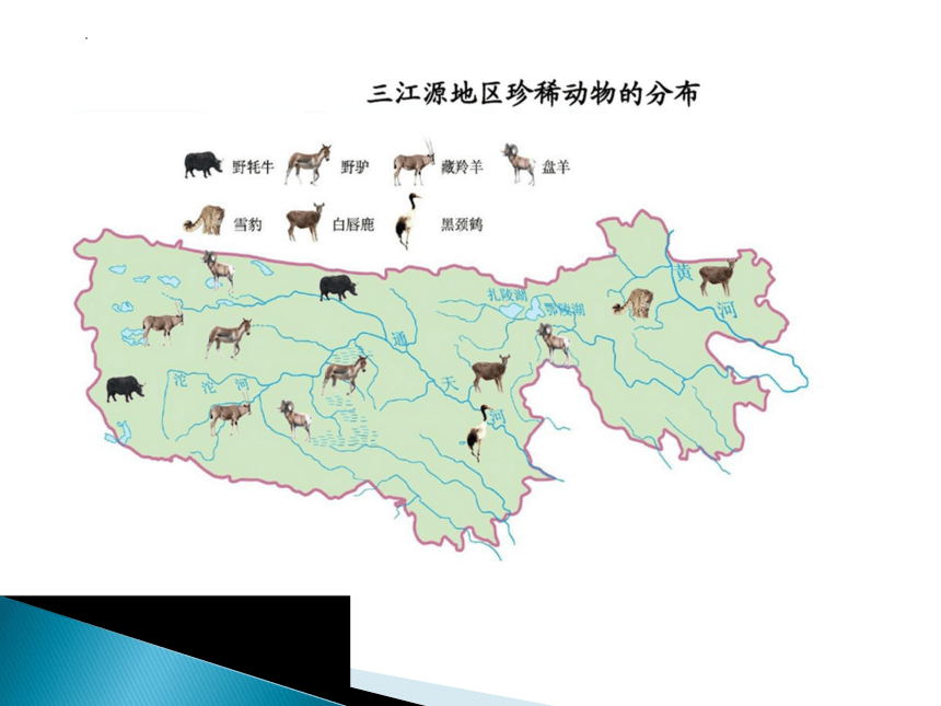 9.2高原湿地-三江源地区-三江源地区的生态课件-2021-2022学年八年级地理下学期人教版(共15张PPT)