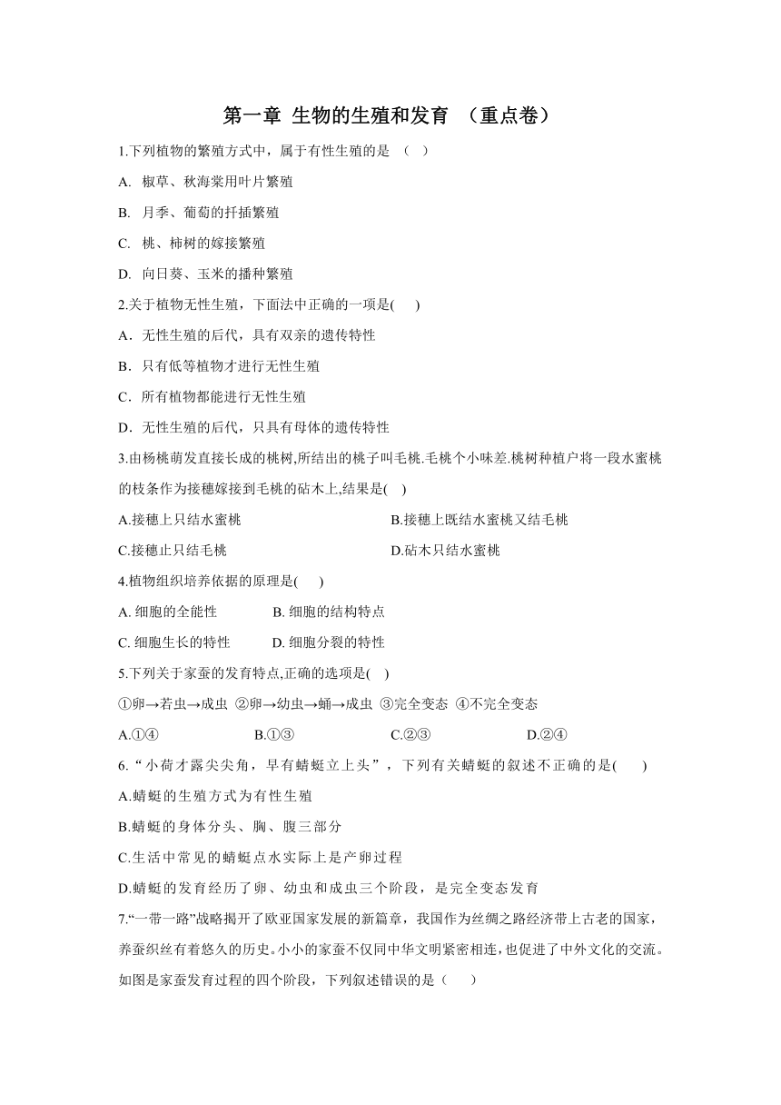 （人教版）八下生物 第七单元第一章 生物的生殖和发育 （重点卷）测试卷（含答案）