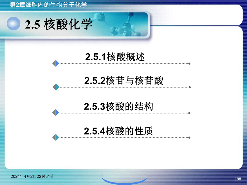 2.5核酸化学 课件(共47张PPT）- 《环境生物化学》同步教学（机工版·2020）