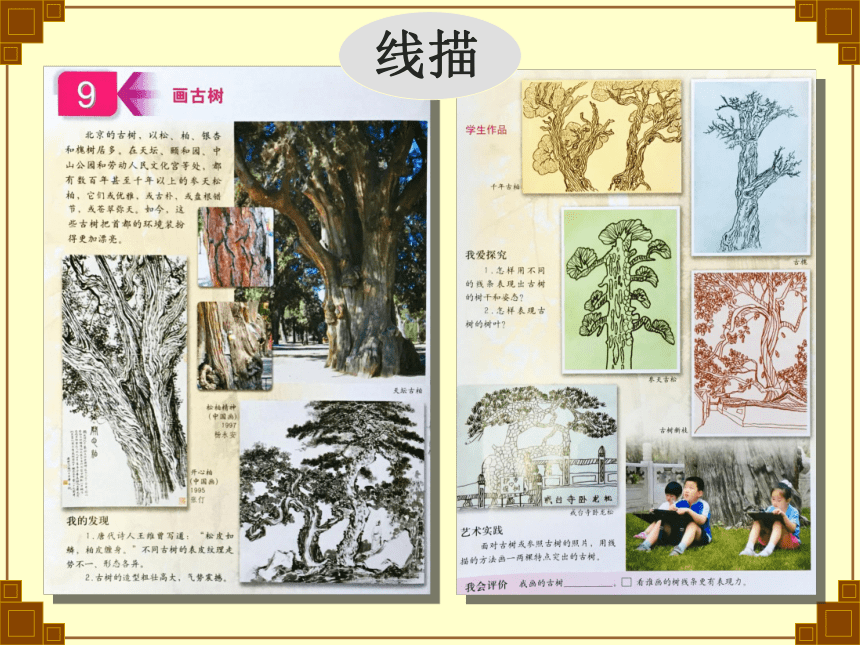 五年级下册美术课件-第14课 中国画-树的画法 ▏人美版（北京）（15张PPT）