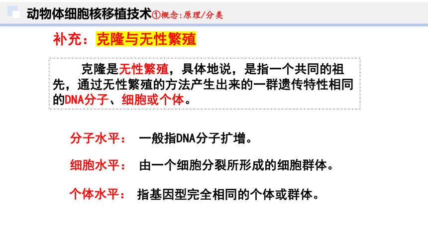 2.2 动物细胞工程（第3课时）(共23张PPT)课件-人教版2019选择性必修3