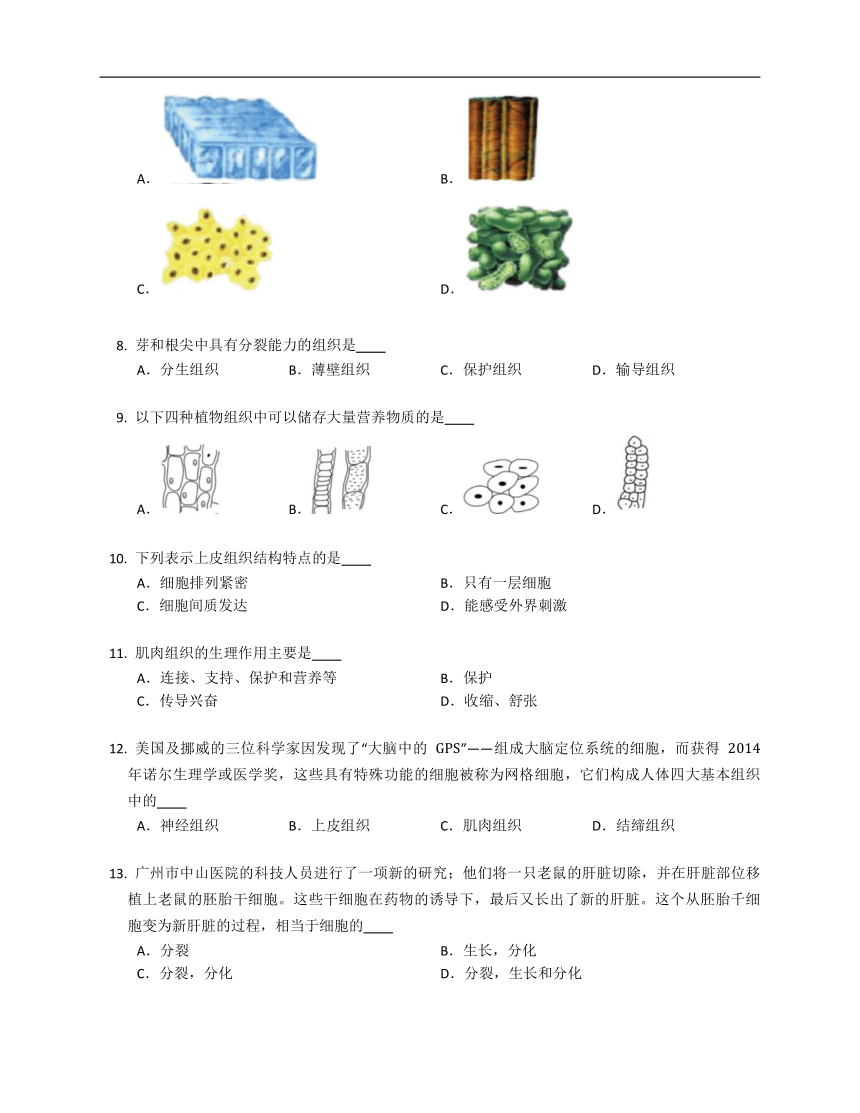 北师大版七年级上2.4.1细胞分化形成组织同步练习（含答案）