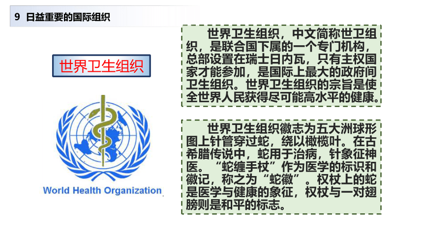 部编版  六年级下册 第四单元 日益重要的国际组织 第一课时 课件（29张）