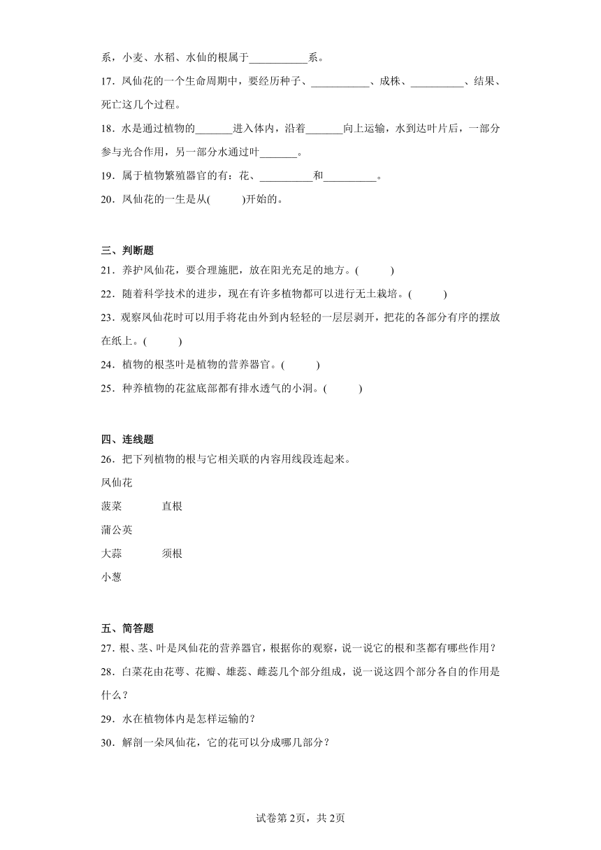 人教鄂教版三年级下册科学第二单元《种凤仙花》训练题含答案