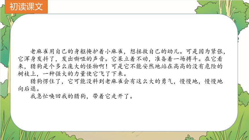 16《麻雀》课件 (共21张PPT)