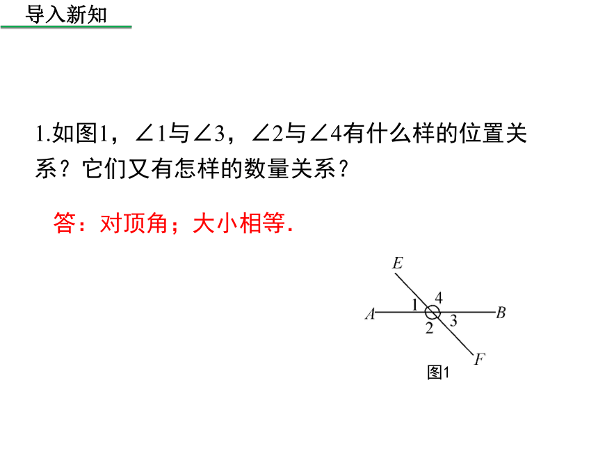 华东师大版2020年数学七年级上册第5章《5.1.3  同位角、内错角、同旁内角》课件（共25张PPT）