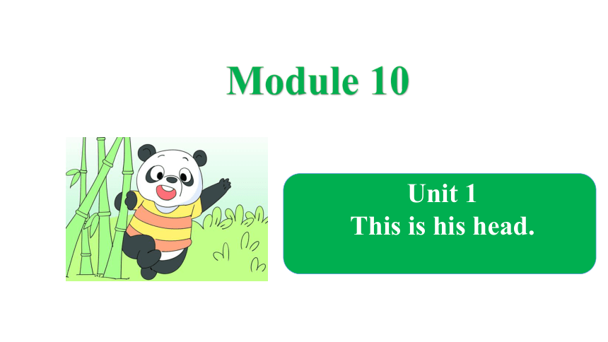 Module 10 Unit 1 This is his head. 课件(共23张PPT)