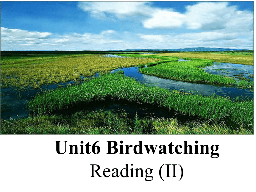 Unit 6 Bird watching Reading 2： Birds in Zhalong 课件（22张PPT，无音频）