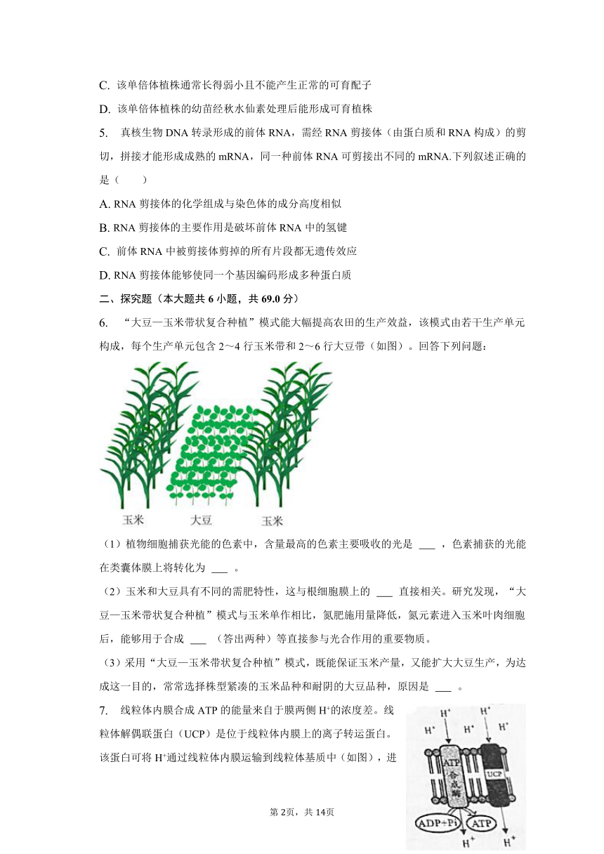 2023年四川省成都市高考生物一模试卷（有解析）