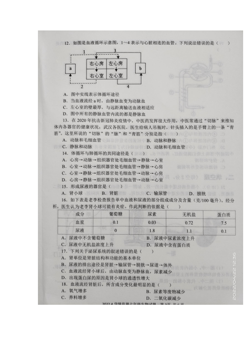 山东省济宁市金乡县2021-2022学年下学期七年级下册 期中考试生物试题（图片版含答案）