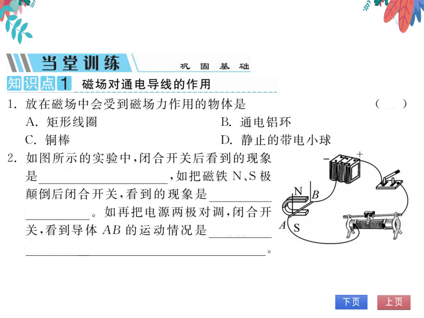 【北师大版】物理九年级全册 14.5 磁场对通电导线的作用力  习题课件