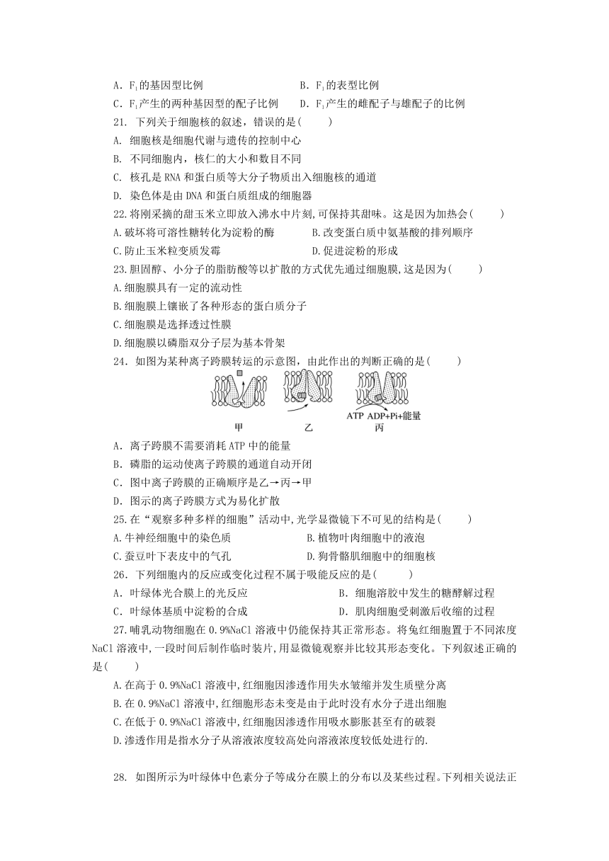 浙江省山河联盟学校2020-2021学年高一下学期4月月考生物试卷    含答案