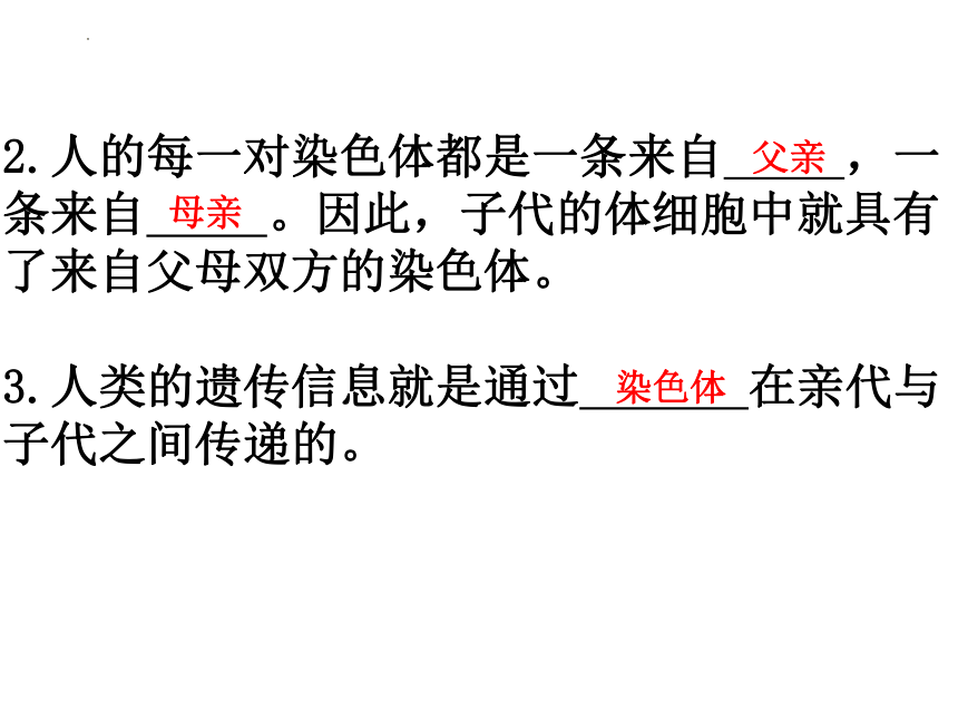 4.4.3 人类染色体与性别决定 课件（共14张PPT）