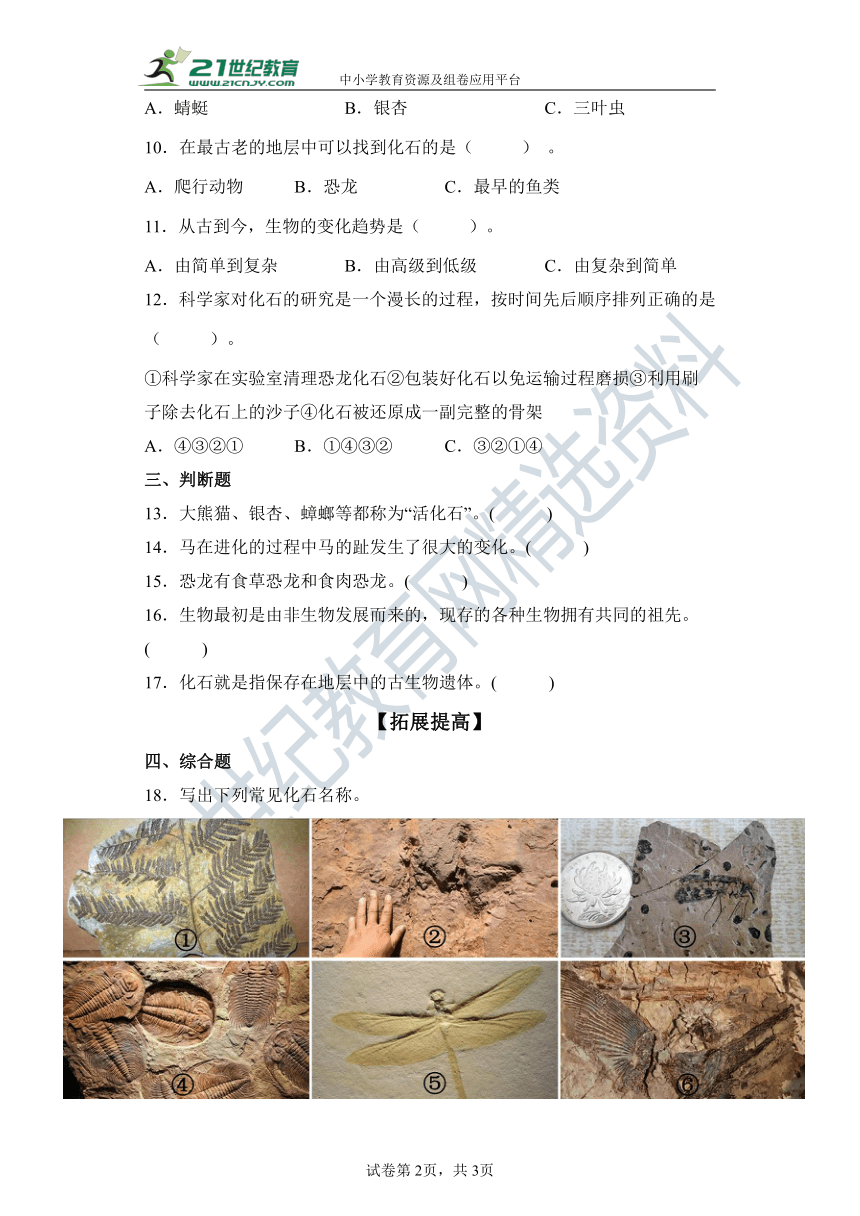 【分层作业】（苏教版2017秋）六年级上册3.9化石告诉我们什么（含解析）