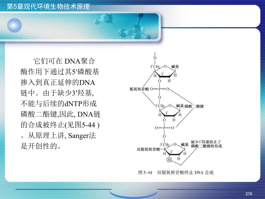 5.现代环境生物技术原理_10 课件(共22张PPT）- 《环境生物化学》同步教学（机工版·2020）