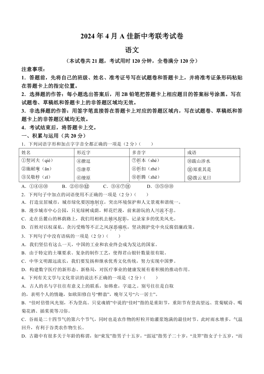2024年湖南省怀化市怀化市校联考中考一模语文试题（含解析）