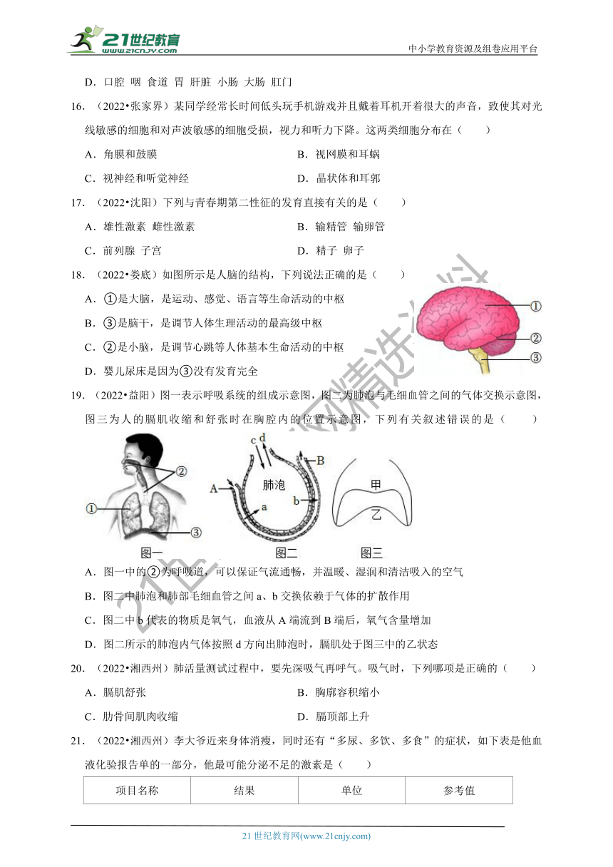 【备考2023】2022年中考生物真题分类汇编4——生物圈中的人部分（含解析）