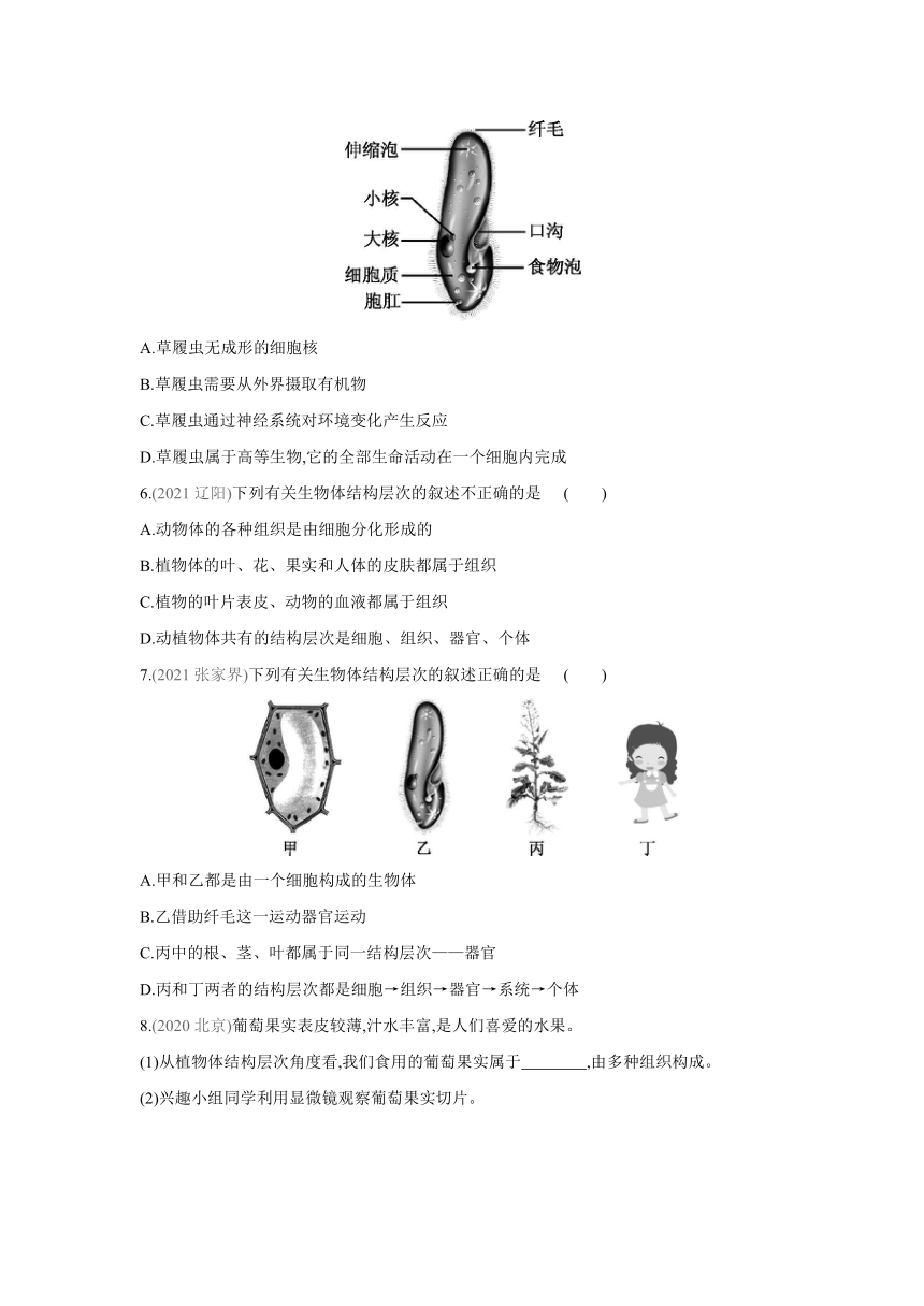 苏科版生物七年级下册同步练习：第9章  阶段复习总结（word版 含答案）