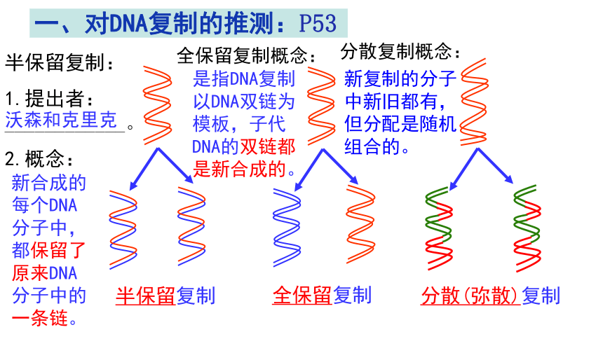 2020-2021学年高一生物人教版必修二3.3DNA的复制课件 （18张ppt）