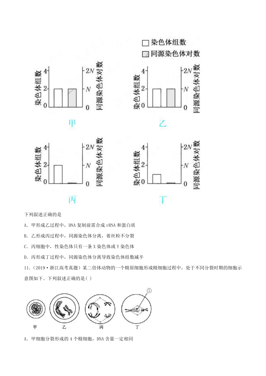 2022年高考生物三年高考真题及模拟题分类汇编：遗传的细胞基础（Word版含解析）