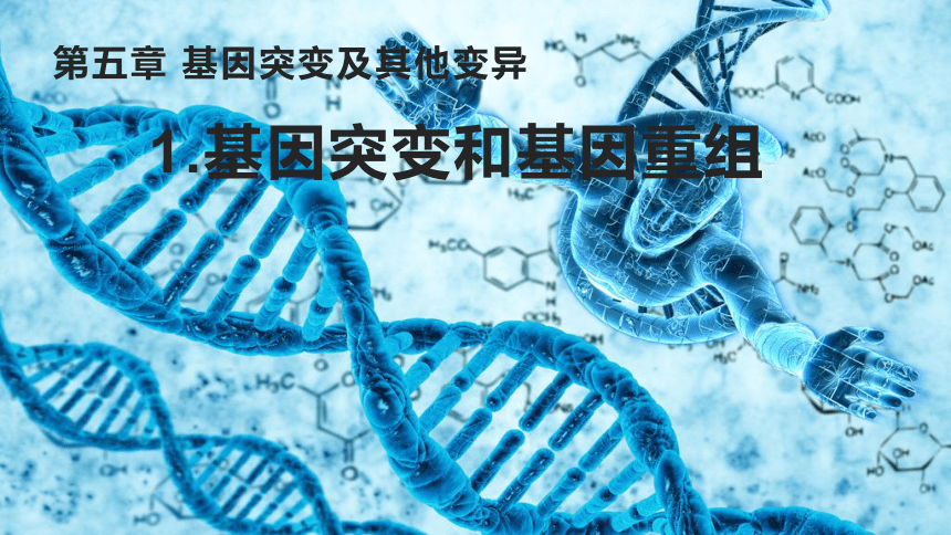 生物人教版（2019）必修2 5.1基因突变和基因重组（共40张ppt）