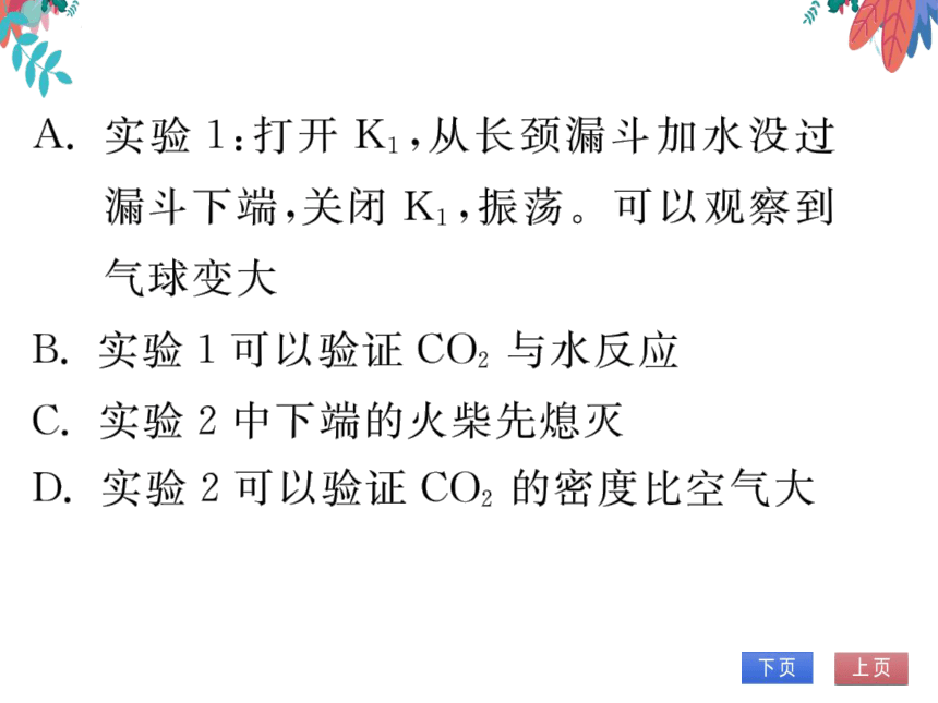 第6单元 碳和碳的氧化物 实验活动2 二氧化碳的实验室制取与性质 习题课件