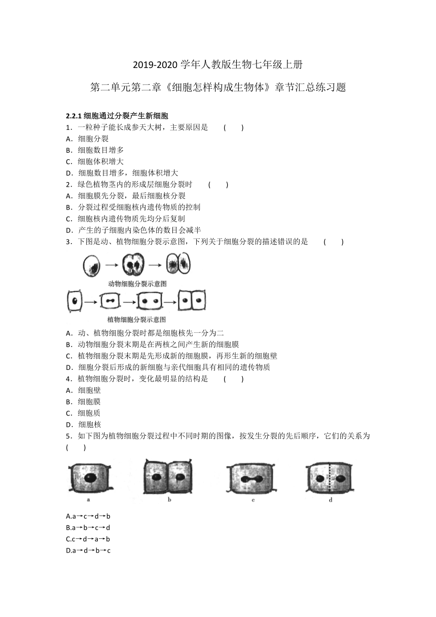 2019-2020学年人教版生物七年级上册第二单元第二章《细胞怎样构成生物体》章节汇总练习题及答案