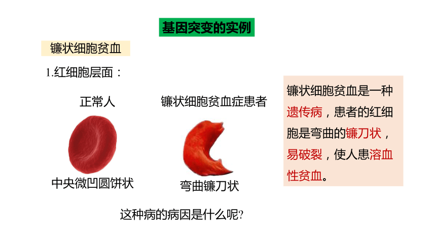 2021-2022学年高一下学期生物人教版必修2 5.1基因突变和基因重组课件(共27张PPT)