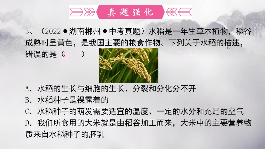 第三单元 第二章 被子植物的一生-【复习旧知】2022-2023学年七年级生物上册复习课件（人教版）(共50张PPT)