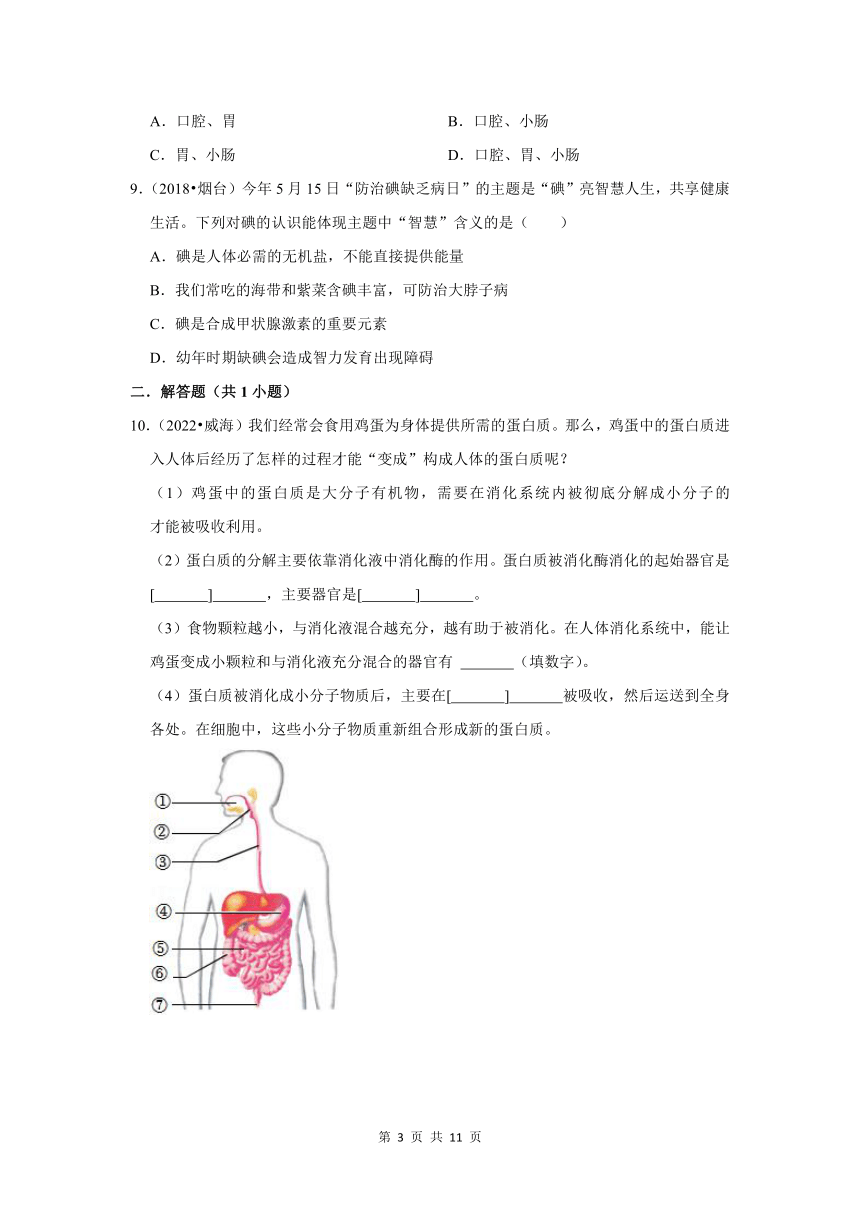 五年山东中考生物真题分类汇编---消化系统（含解析）