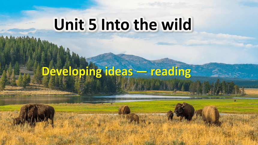 外研版（2019）必修第一册Unit 5  Into the wild Developing ideas 课件(25张ppt)