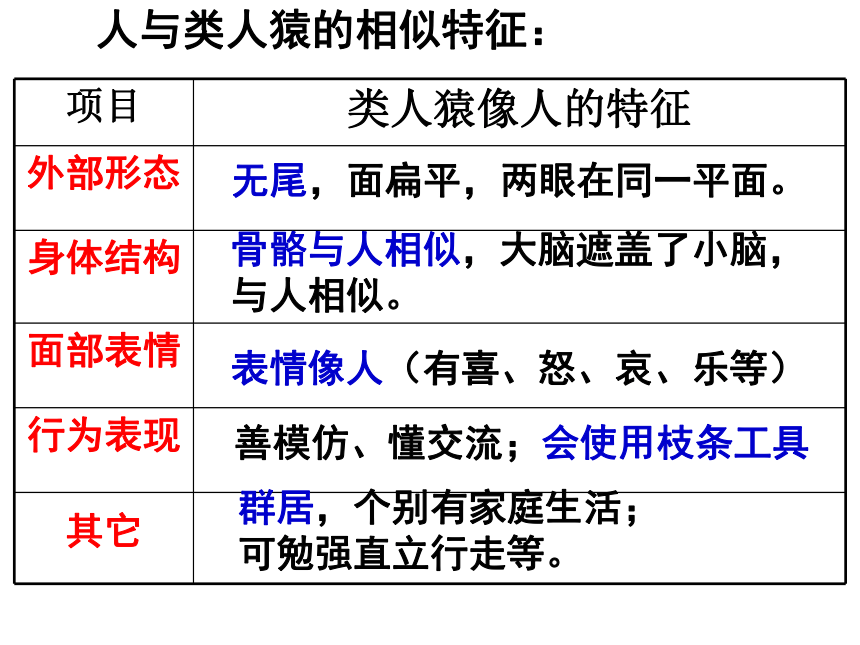 北师大版生物八年级下册21.3人类的起源与进化课件（21张PPT）