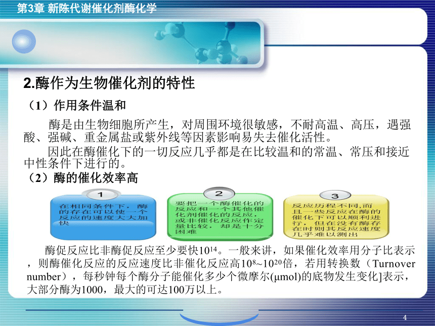 3.1酶的概述 课件(共27张PPT)- 《环境生物化学》同步教学（机工版·2020）