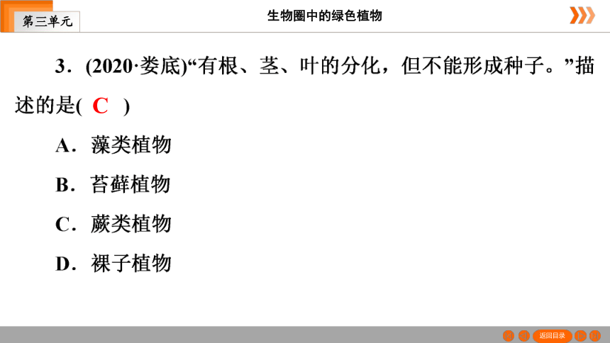 人教版生物七年级上册  第3单元　第1章　生物圈中有哪些绿色植物本章知识网络 课件（共19张PPT）