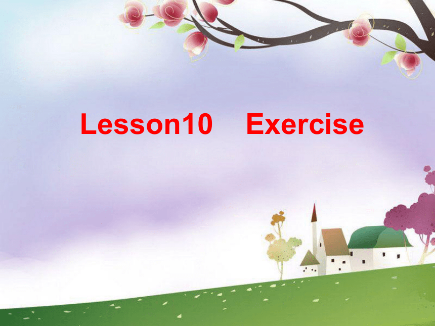 Unit 2 Lesson 10 Exercise 课件（18张PPT）