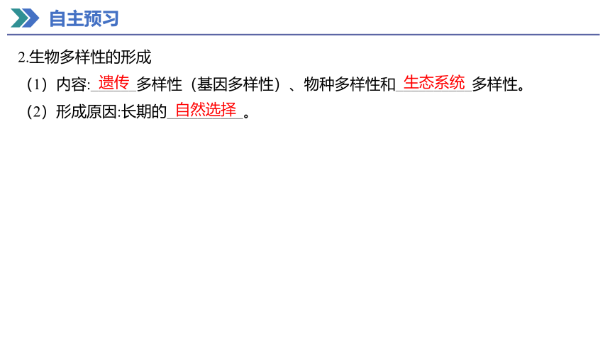 6.4 协同进化与生物多样性的形成 课件(共26张PPT) 2023-2024学年高一生物人教版（2019）必修第二册