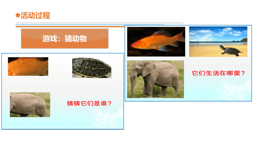 青岛版《科学》二年级下册第四单元《动物与环境》 11 动物的皮肤教学课件(共21张PPT)