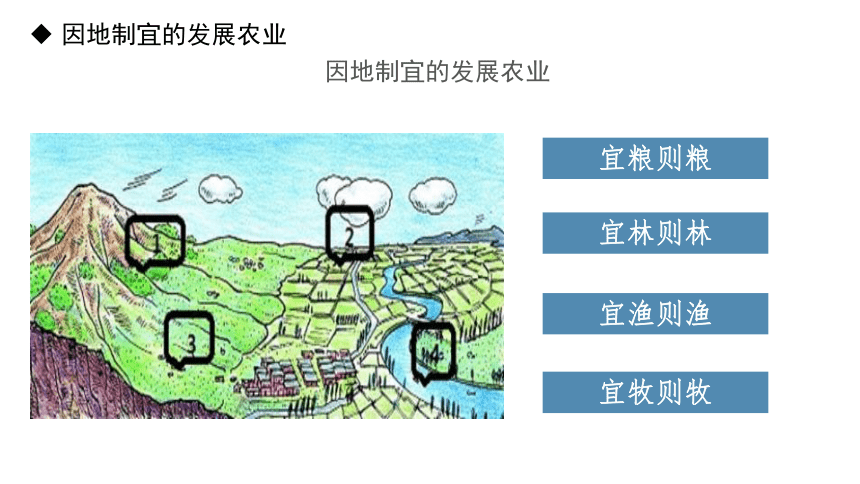 中图版地理七年级下册4.2.2《土地资源与农业》课件(共32张PPT)